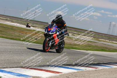 media/Mar-23-2025-TrackDaz (Sun) [[88a7749186]]/C Group/1240pm (Wheelie Bump)/
